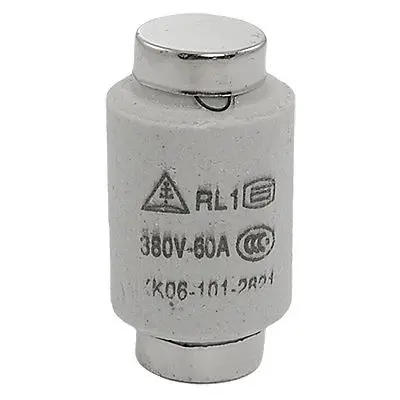 

AC 380V 60A Ceramic Screw Type Fuse Link RL1