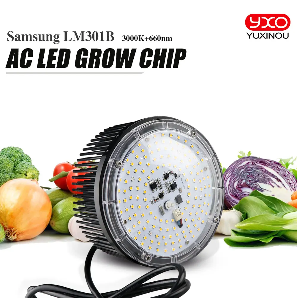 Супер яркий 100 W AC 220 V Led Grow Light Quantum доска полный спектр samsung LM301B SK 3000 K 660nm для комнатных растений для растений; для овощей цветок