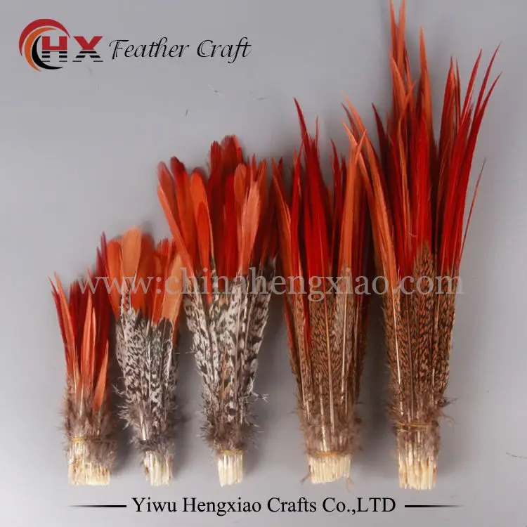 

10pcs DIY feather natural Lady Amherst Pheasant Feather 5 kind size select pheasant tail feather plume decoration accessories