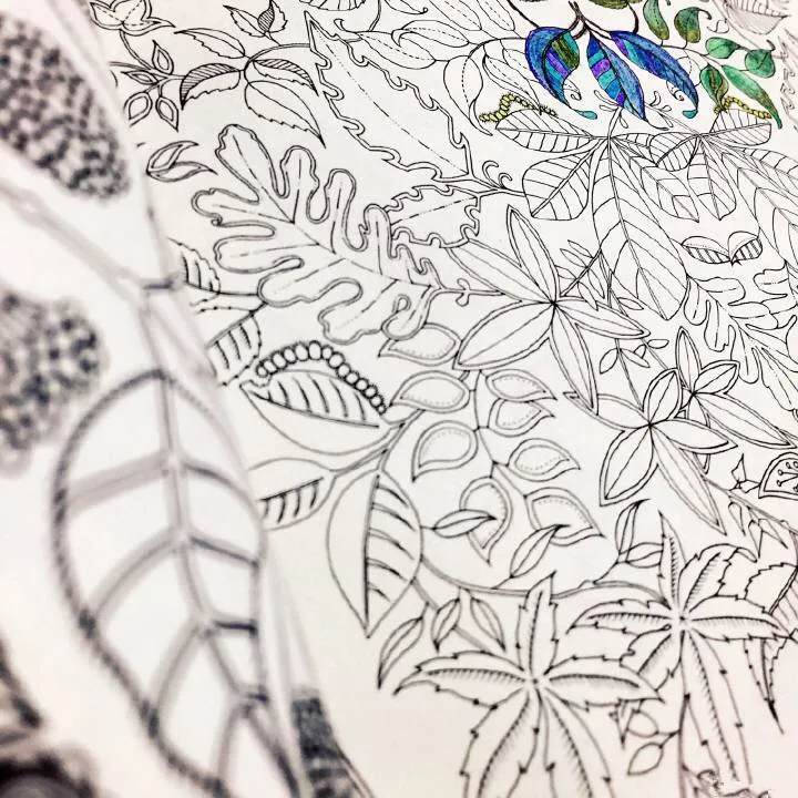 Online Shop K9003 Original Korea Secret Garden Treasure Hunt Color Book Adult Relieve Stress Relax Graffiti Painting Drawing Coloring