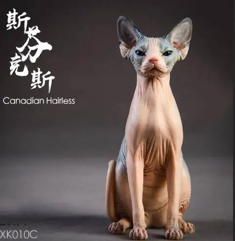 1/6 Resin Animal Model Jxk010 1/6 Canadian Hairless Sphynx cat 3 Colors Pet Animal F 12" Action figure soldier - Цвет: C