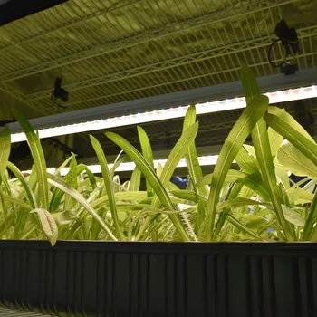 

Ultimate 48W Growing light for plants Ultimate Light LED Grow Light led full spectrum hydroponic led hanging flower