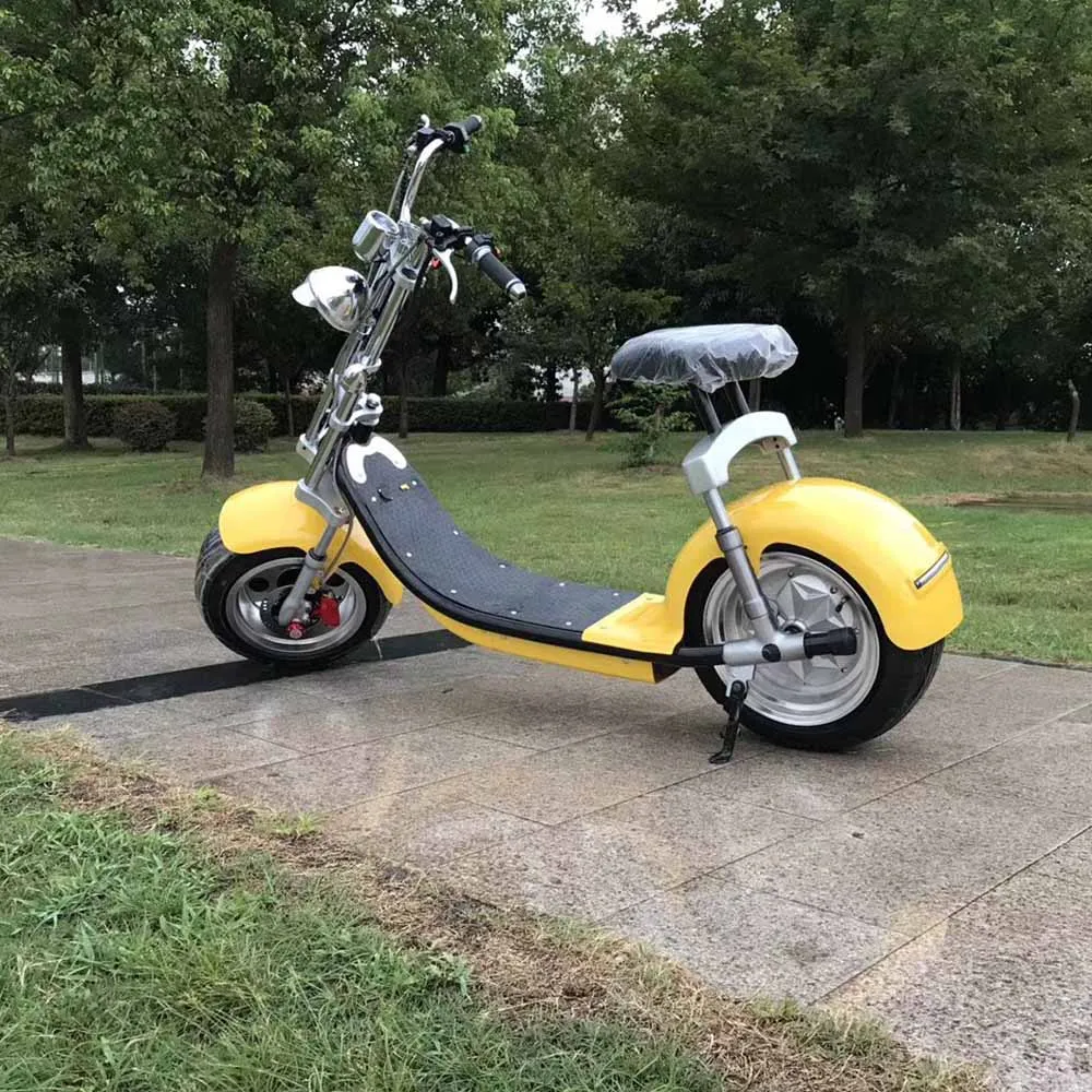 citycoco scooter (48)