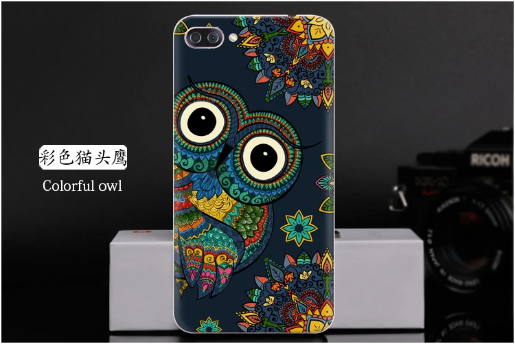  Colorful owl