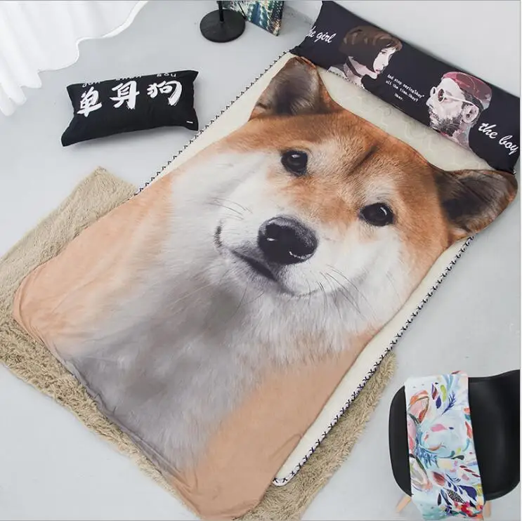 QQ20181228150954