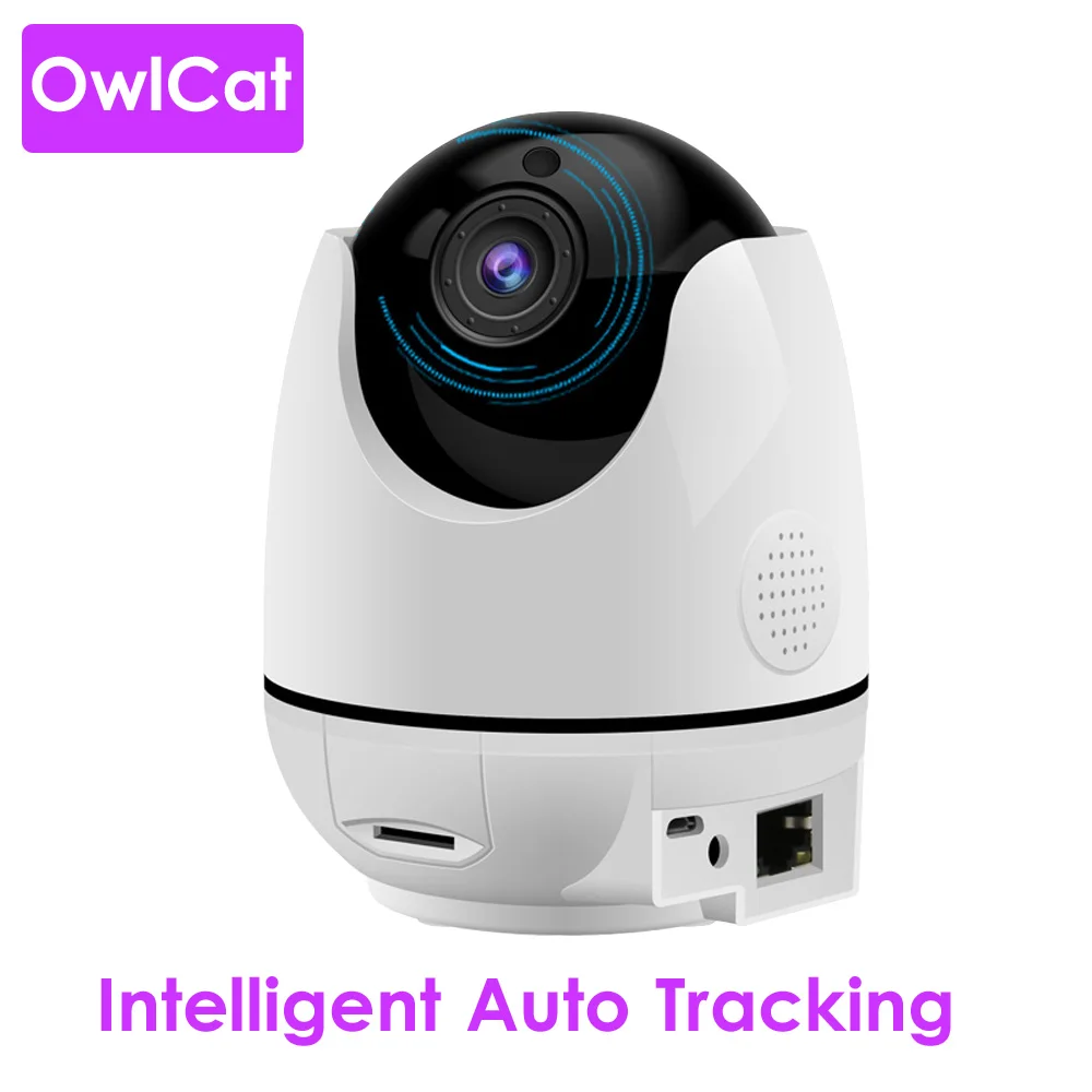 

Wireless Smart Intelligent Human Body Auto Tracking Dome IP Camera WiFi Home Baby Monitor Two Way Audio Talk SD card Motion Cam
