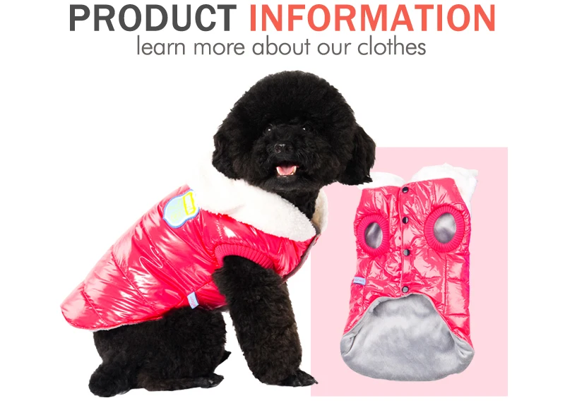 2 pet clothes -1 