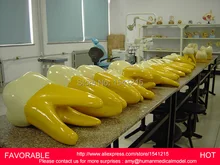 DENTAL CARIES MODEL DENTAL DENTAL MODEL DENTAL CAST MODEL FOR DEPARTMENT 15 TIMES THE BIG FRONT
