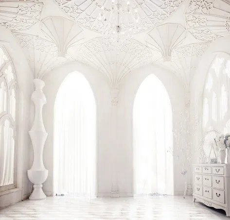 Everywhere is white room Vinyl Backdrops Photography 