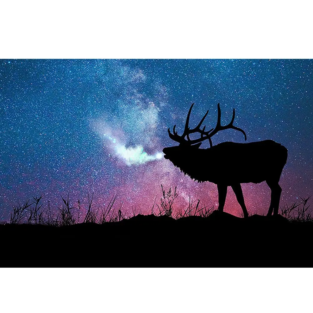 

Full Square DIY 5D Embroidery Diamond Painting Cross Stitch Kit Diamond Rhinestone Canvas Painting for Wall Art Home Decoration