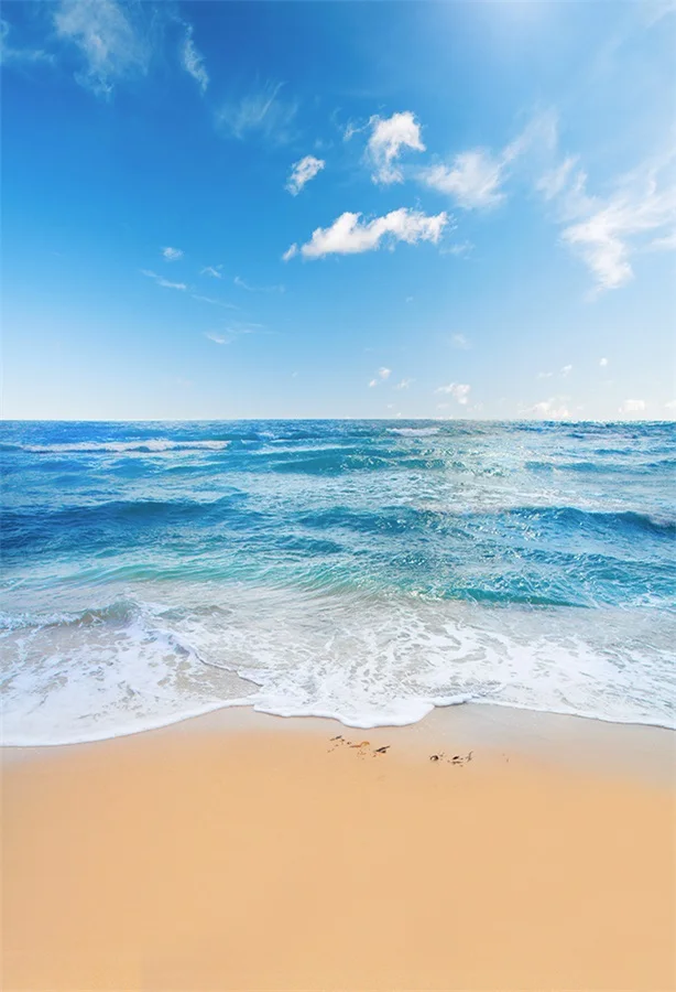 Laeacco Лето голубое небо море пляж волны живописные фотографии фоны Виниловые индивидуальные фотографические фоны для фотостудии