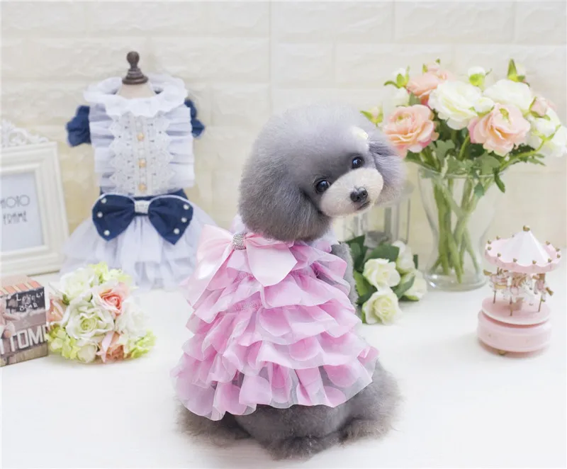 B85 костюм для животного юбка для собак собака летнее платье Одежда для питомцев, собачий летняя одежда Новинка года, стильное - Цвет: PINK