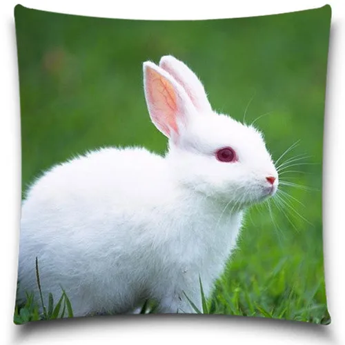 Белый кролик пледы наволочки Рождественский подарок офис наклейка/домашний текстиль Подарочный чехол для подушки 5 размеры 9 стиль