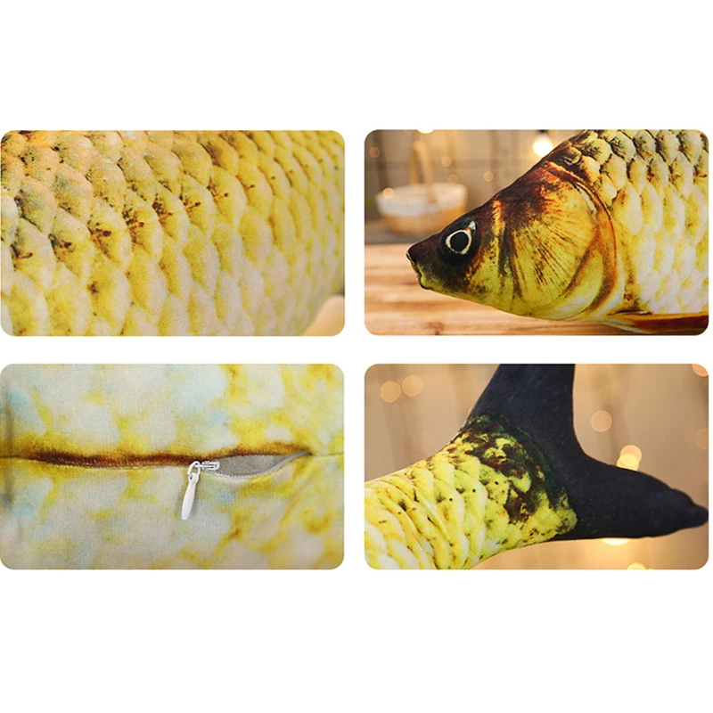 10884218967_1459580469