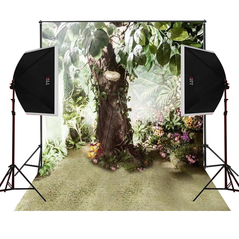 rain forest foggy scenic for wedding photo background