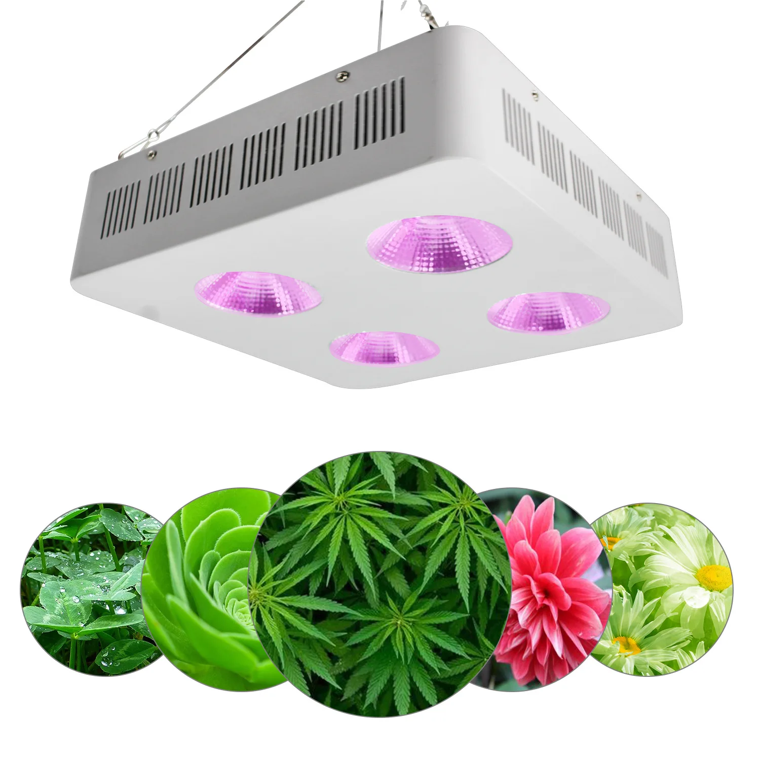 800w Cob Led Grow Light Full Spectrum for Hydroponics Greenhouse Indoor Plant Veg and Flower System Grow Lamp Kit with UV & IR