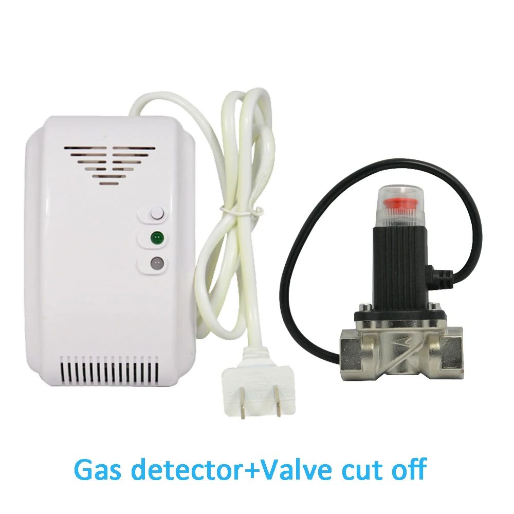 

(1 Set) 100-220VAC Combustible Gas Alarm Include Valve Cut Off Gas Leaking Coal Natural LPG Gas leak detector DN15