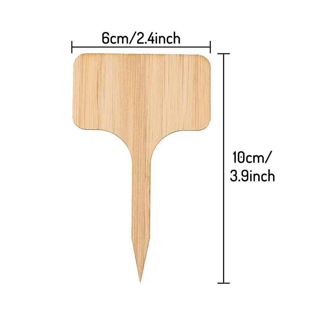 50 шт. бамбук, растение этикетка открытка с изображениями цветов суккулентные этикетки карты пейзаж вывеска табличка Выгравированная бамбуковая вывеска ярлыки