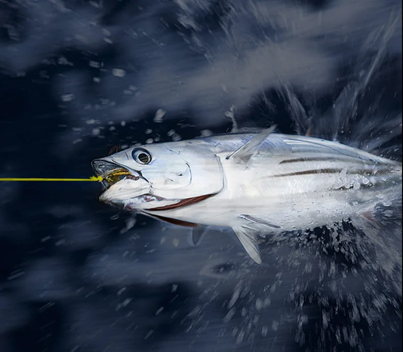 SuperPower 300-1000m PC--Detail (4)