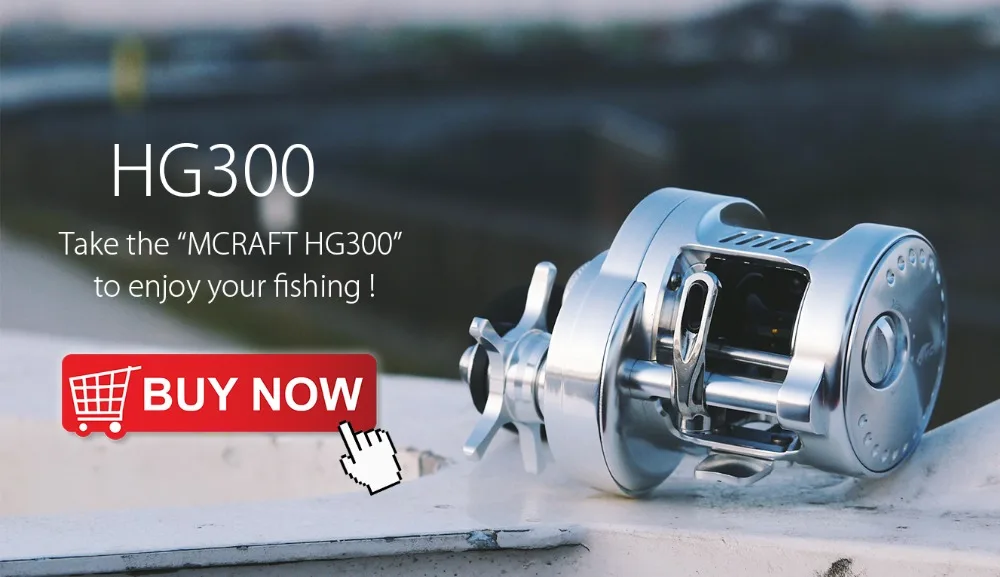 HG300