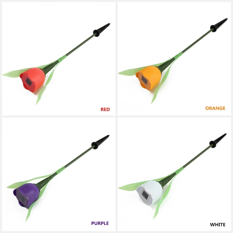 HTB1Pms4RVXXXXbQXXXXxh4dFXXX9