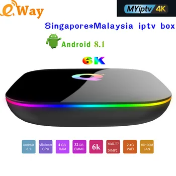 

1 Year IPTV Subscription MYIPTV 4K Singapore Malaysia Channels 190 Android TV Box Q PLUS Quad Core 2.4G WiFi IPTV Media Player