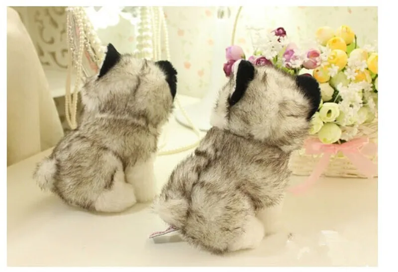 2807306996_1610921116