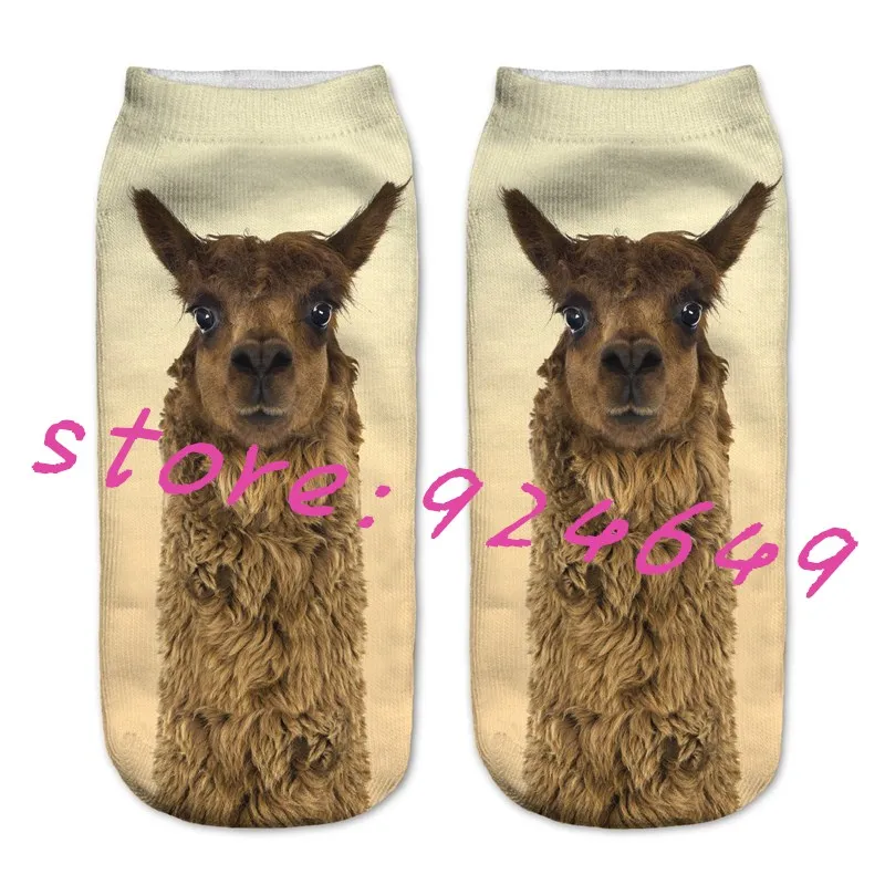 3_05372683984319417_1280_