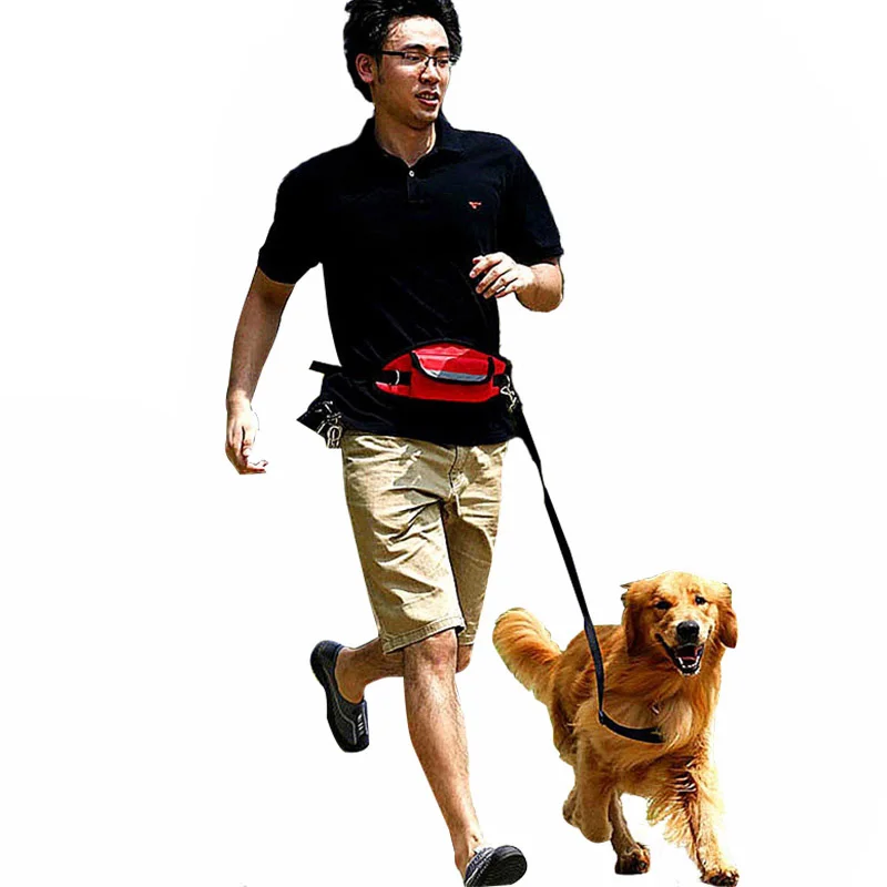 TAILUP-Pet-Products-For-Large-Dog-Hands-Free-Leash-Leads-Collar-Adjustable-Dog-Harness-Leash