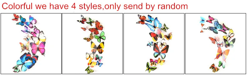 3068716099_1410855555