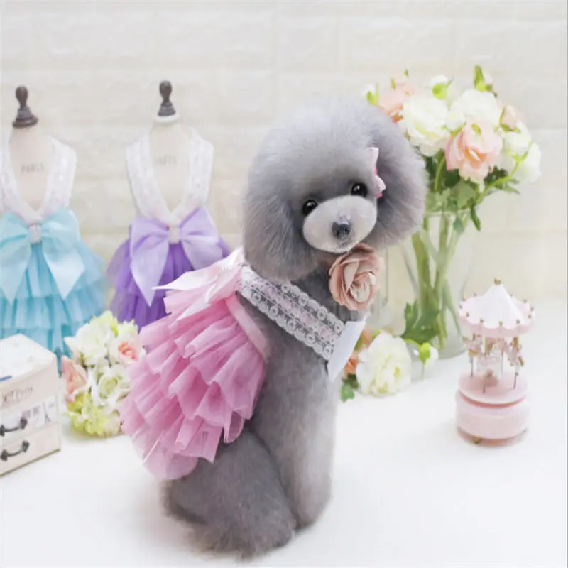 QQ20190226152355