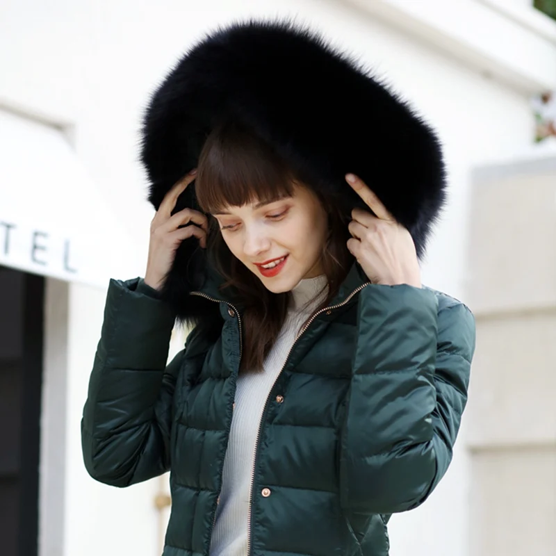 LF5200 (6)