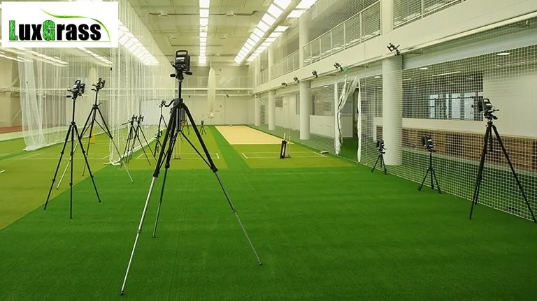 cricket turf (133)