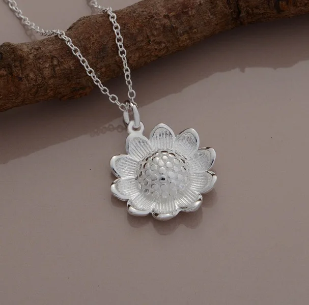 

wholesale High quality silver Fashion jewelry chains necklace pendant WN-1062