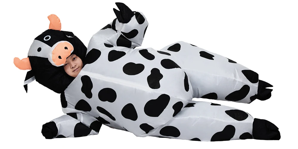 adult-cow--