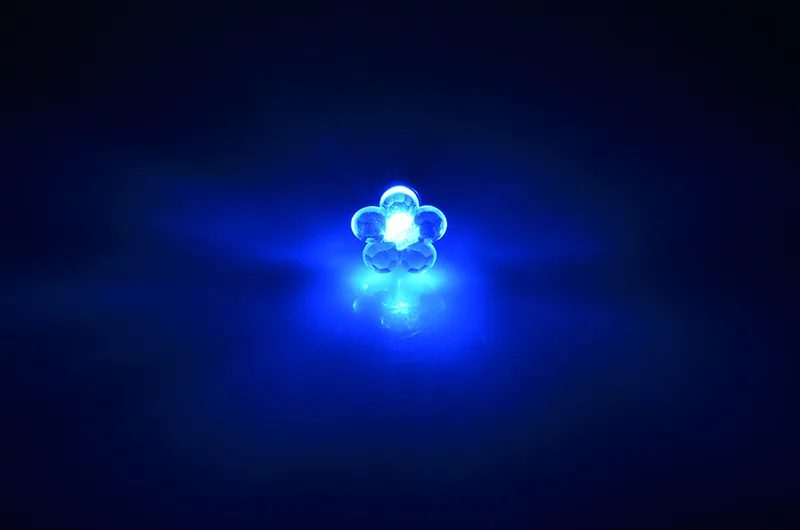 43069115581_details_18
