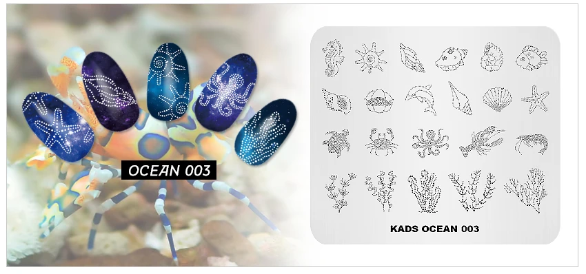 KADS-OCEAN_07