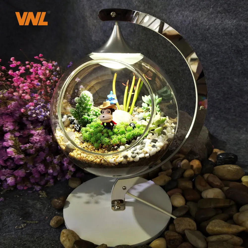 

VNL LED Micro Eco Light DIY Emulated Plants or Succulents in Small World Decorate for Home and Contribute to Mental Health