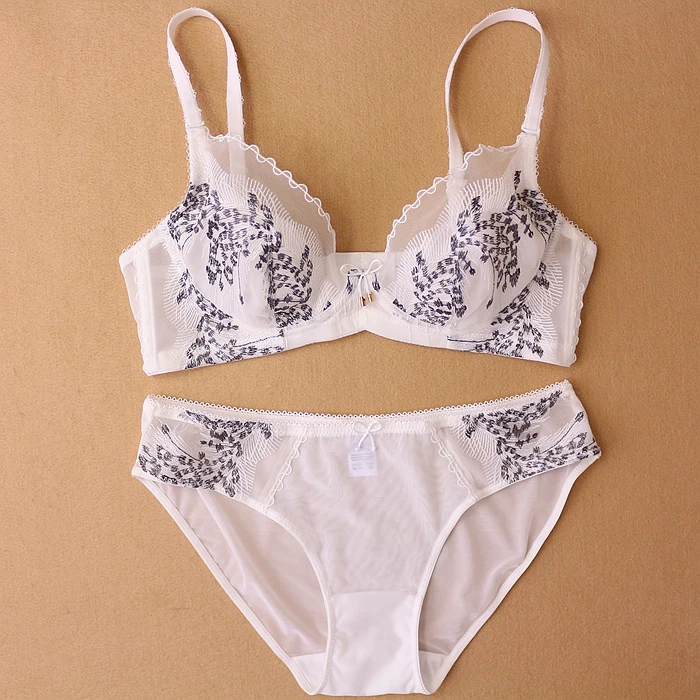 Frauen Bh Set Spitze Weiß Sexy Dessous Sets in Frauen BhSet Spitze