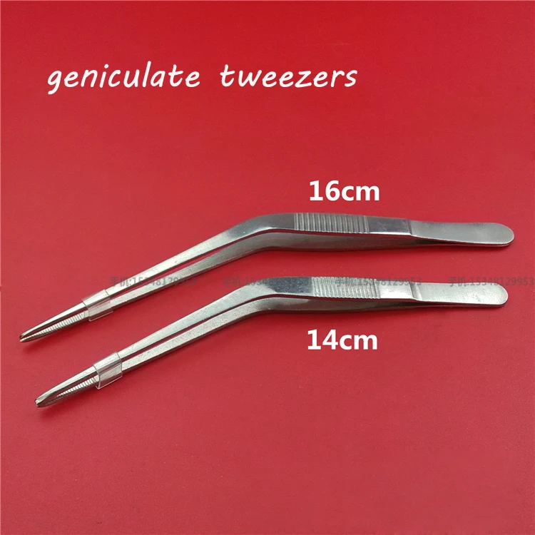 Medical stainless steel geniculate tweezers otology use curved tweezers