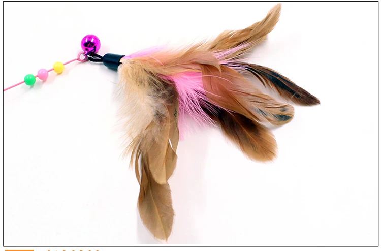 4559231109_1041227635