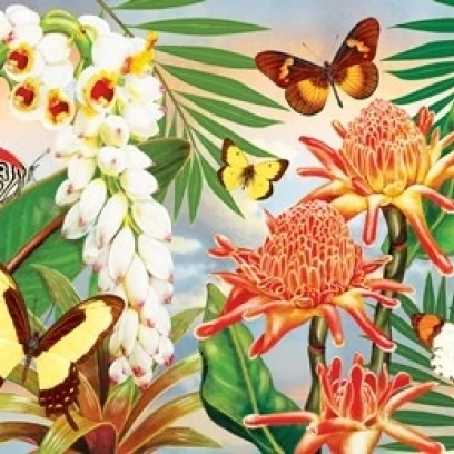 Butterflies With Torch Ginger Poster Print by Rosiland Solomon (12 x 9)