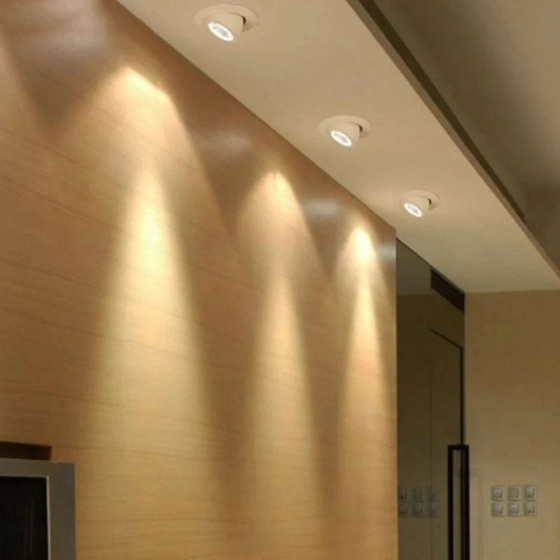 LED Downlight Trunk light