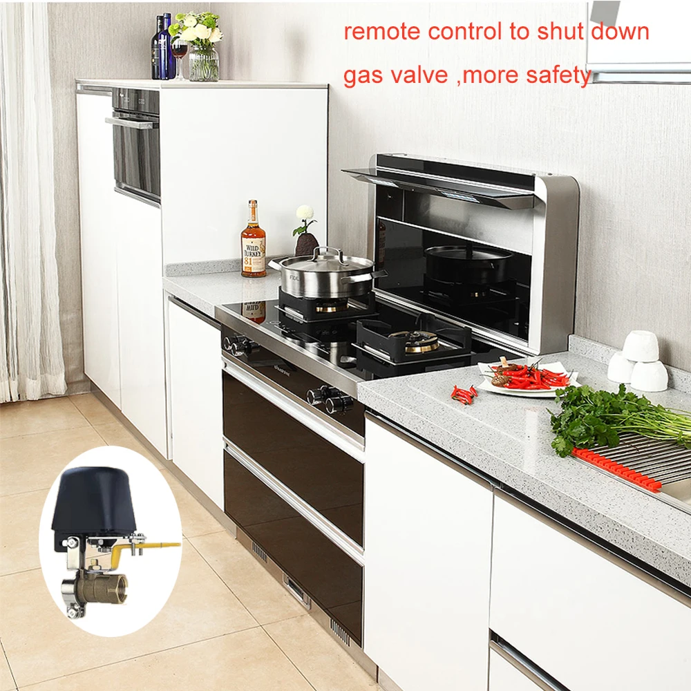 Xenon-WiFi-Smart-Water-Gas-Valve-Remotely