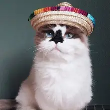 Трансер кошка шляпа аксессуары для собак многоцветный собака кошка Мексиканская соломенная шляпа-сомбреро Pet Регулируемая пряжка костюм 5,4