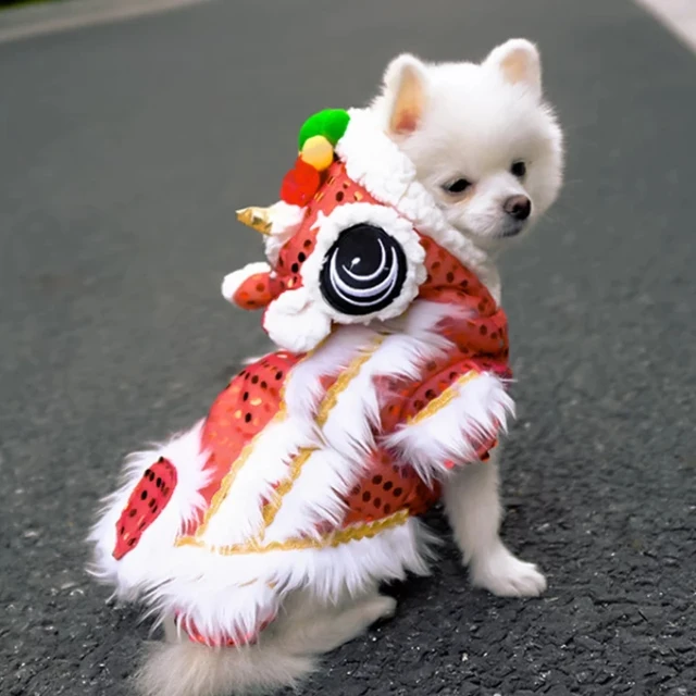 chinese new year dog