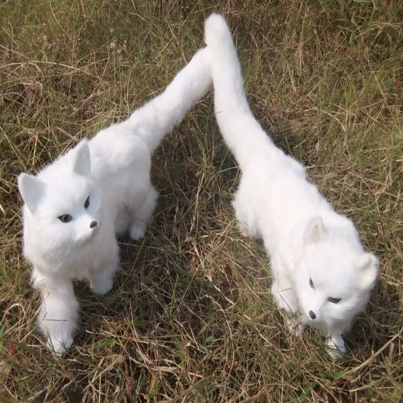 HTB1SP4kLpXXXXcPXpXXq6xXFXXXX