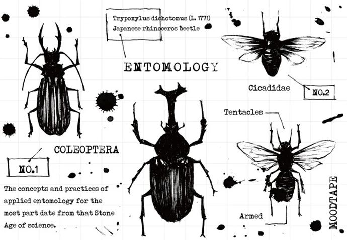 

Insects Clear Stamp for Scrapbooking Transparent Silicone Rubber DIY Photo Album Decor B608