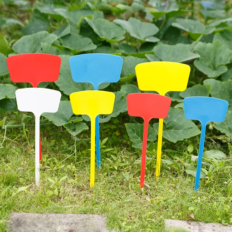 10 Pcs 36cm T Type Plastic Plant Tags Markers Nursery Garden 10 Pcs 36cm T Type Plastic Plant Tags Markers Nursery Garden Label Flower Tag Marker Stick In Pots From Home On