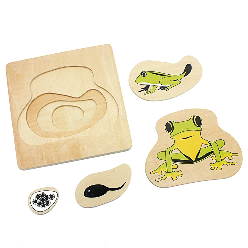  Infant Montessori Teaching Aids Toddler Life Cycle of Frog Puzzles Multi-layer Grow Up Puzzles Jigs - 32873674626